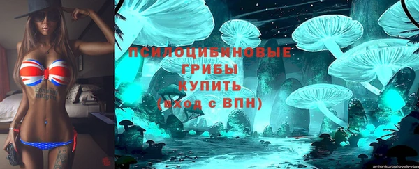 мет Магас