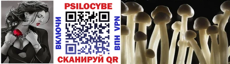 Псилоцибиновые грибы GOLDEN TEACHER  Дыгулыбгей 